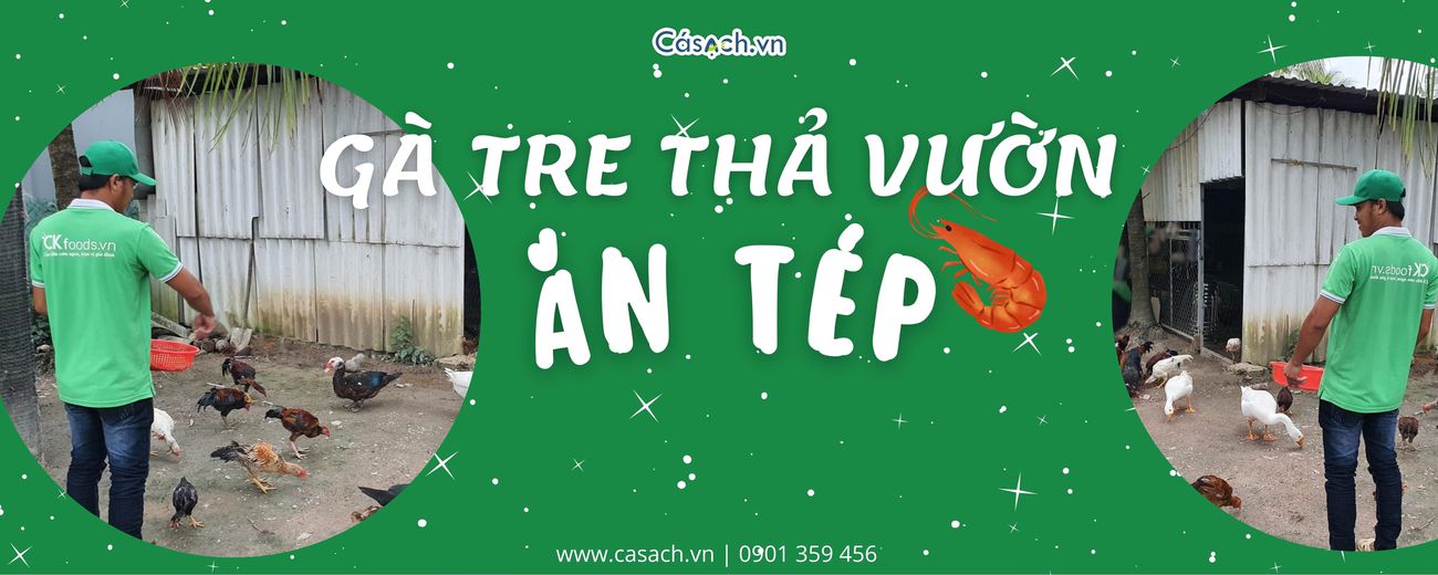 Gà ăn tép - Riêu xay - Nước sốt kho